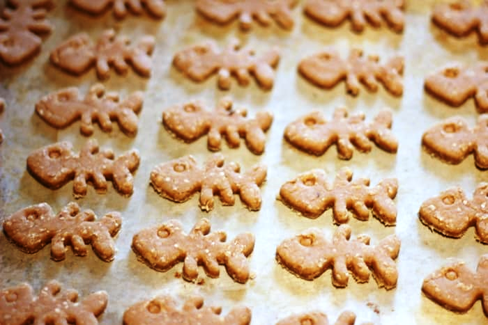 Leckerlies Fisch