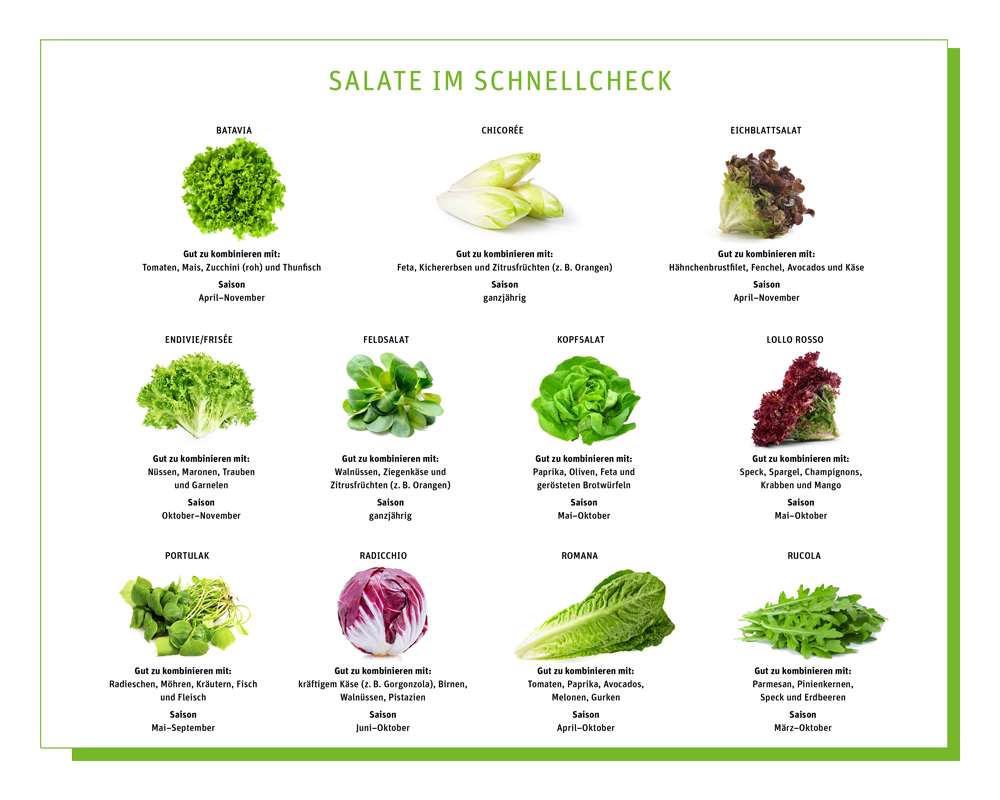 Salate Sorten